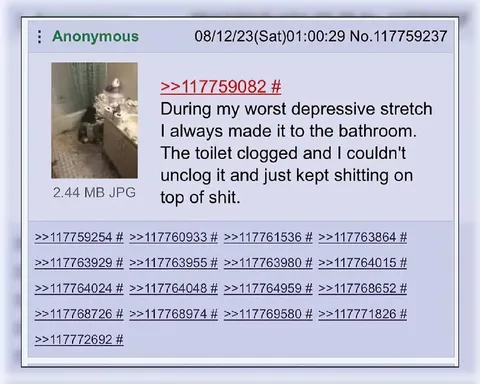 Depressed Cat Shits on Clogged Toilet