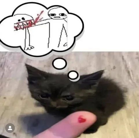 Котёнок думает о драке