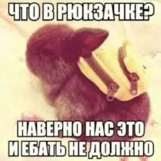 Что в рюкзачке?