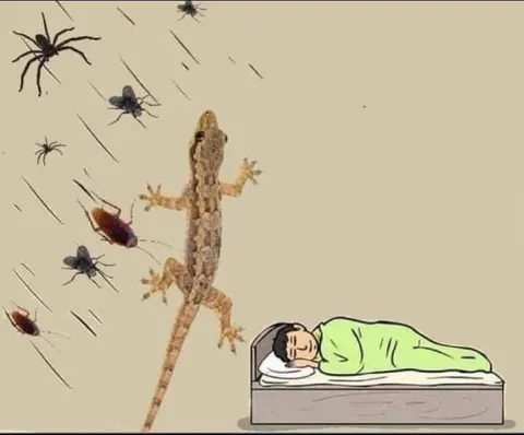 Спящий человек и нашествие насекомых