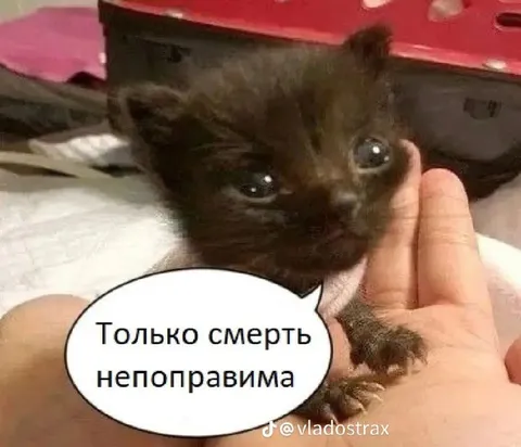 Только смерть непоправима