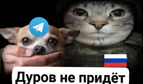 Дуров не придёт