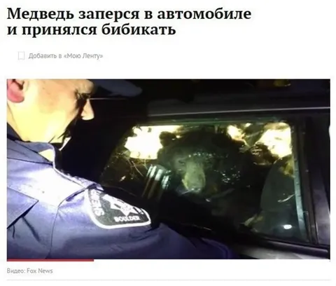 Медведь заперся в автомобиле