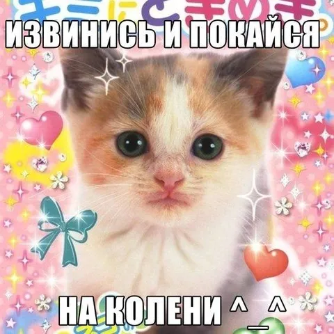 Котёнок требует покаяния