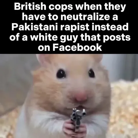 Crying Hamster With a Gun