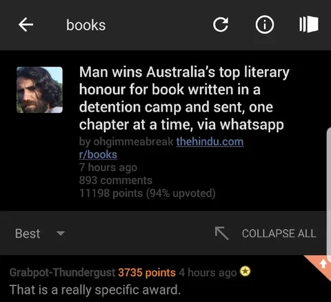 Really Specific Literary Award