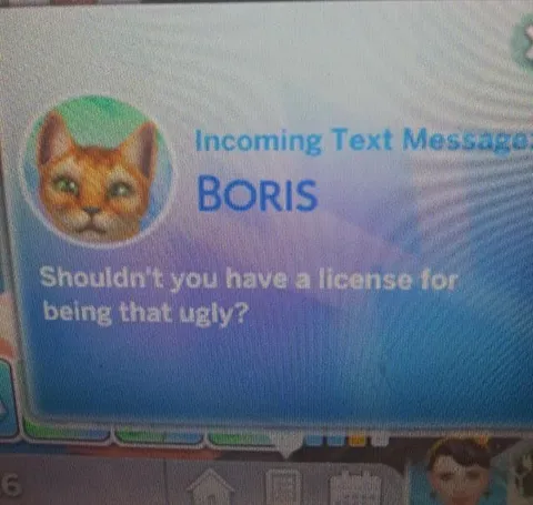 License for Being Ugly