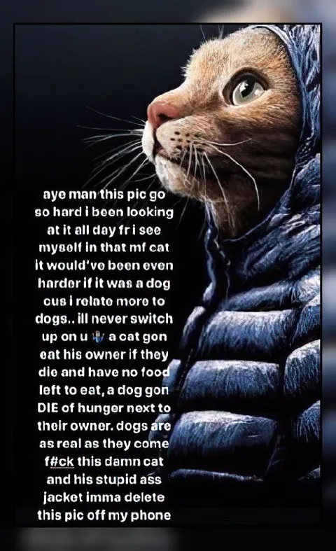 Cat in the Stupid Jacket