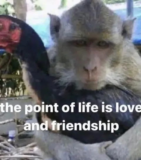 The Point of Life Is Love and Friendship