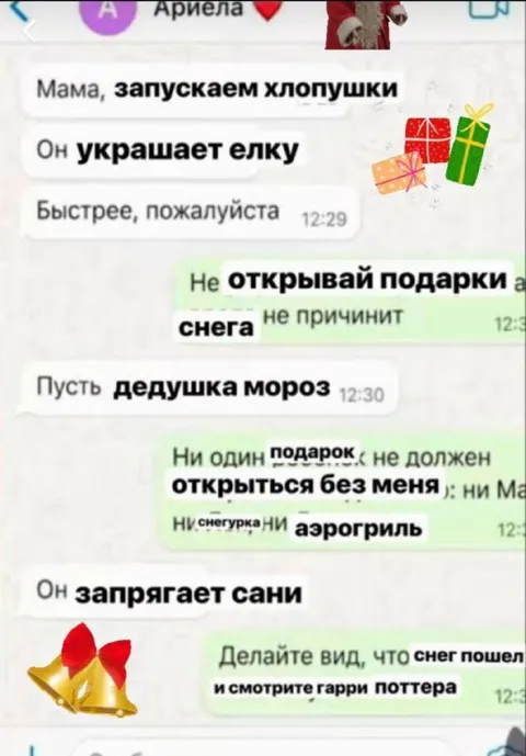 Дед Мороз запрягает сани