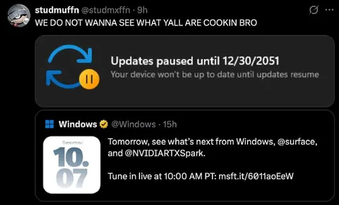 Windows Updates Paused Until 2051