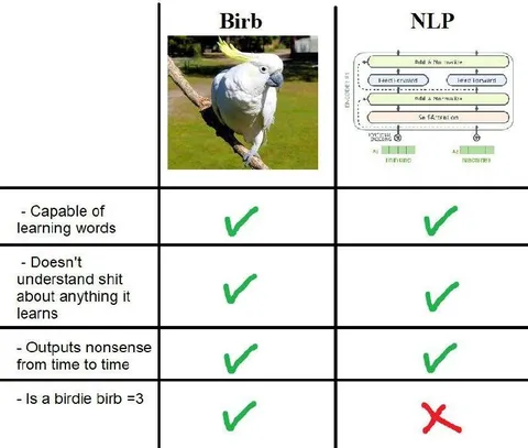 Birb vs NLP comparison chart