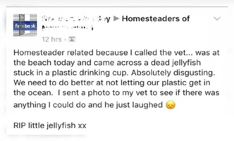 Dead Jellyfish in Plastic Cup