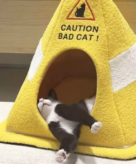Caution Bad Cat Sign