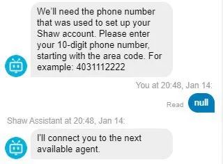 Shaw Assistant Connects You