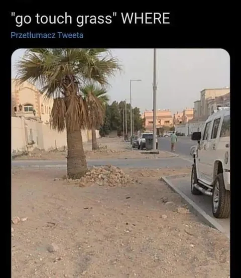 Go Touch Grass Where
