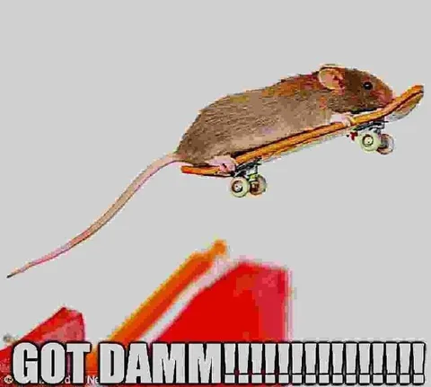 Got Damn Skateboarding Rat