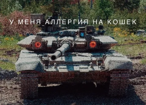 Аллергия на кошек