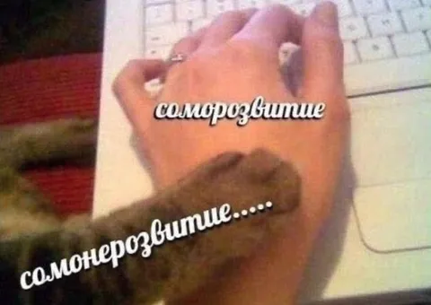 Саморазвитие отменяется
