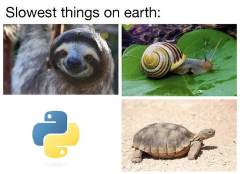 Slowest Things on Earth