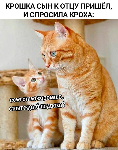 Крошка спрашивает отца