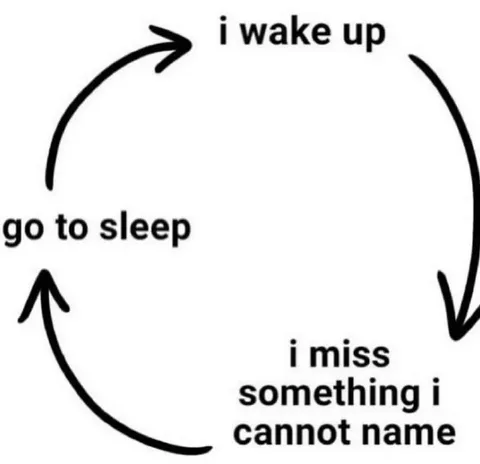 I Miss Something I Cannot Name