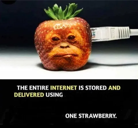 Internet Stored in One Strawberry