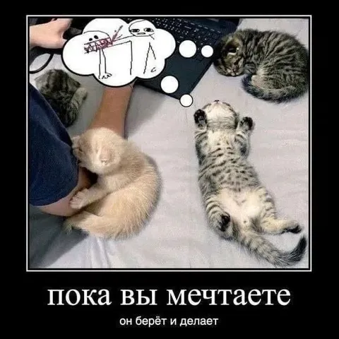 Пока вы мечтаете, он делает