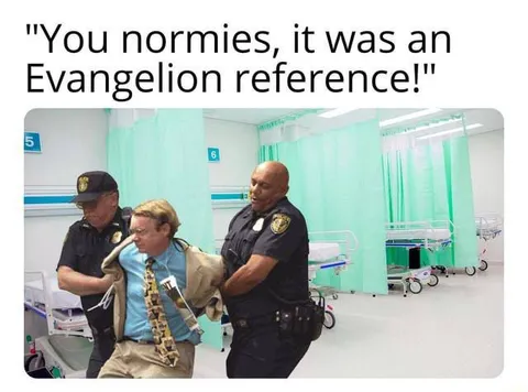 You Normies Evangelion Reference