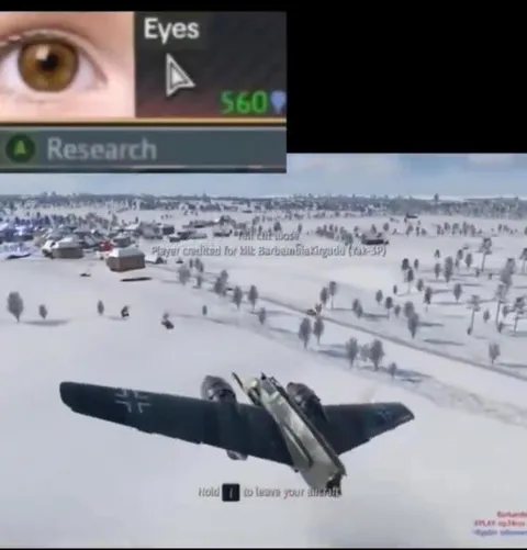Eyes for $60 Plane Crash