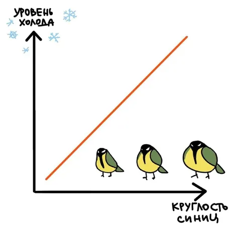 График холодных круглых синиц