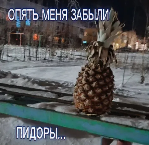 Ананас забыли на морозе