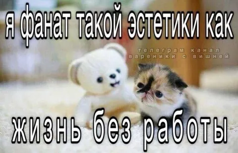 Жизнь без работы