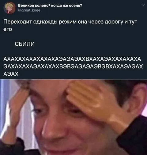 Режим сна сбили на дороге