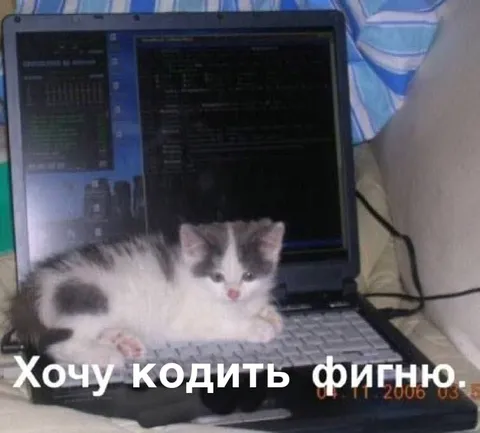 Котёнок хочет кодить