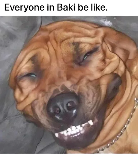Everyone in Baki Be Like