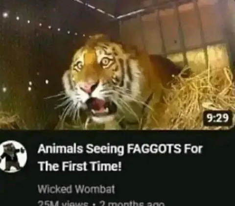 Tiger Sees Something Unsettling