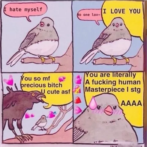 Birds Compliment Each Other