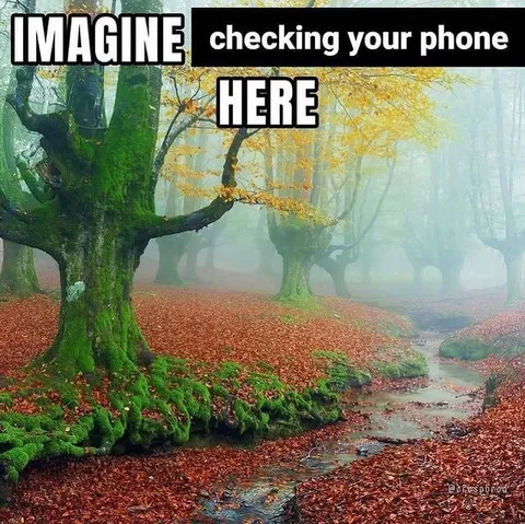 Imagine Checking Your Phone Here