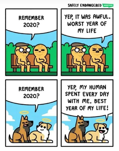 2020 Worst Year Best Year