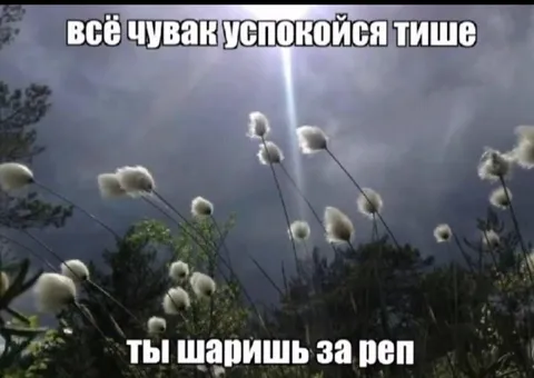 Успокойся, ты шаришь за рэп