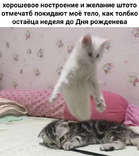 Настроение покидает тело перед днём рождения