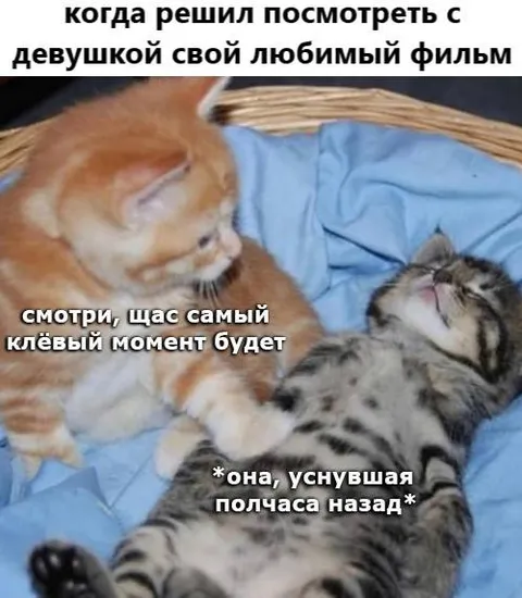Любимый фильм с девушкой