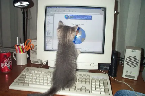 Kitten Discovers the Tree of Life