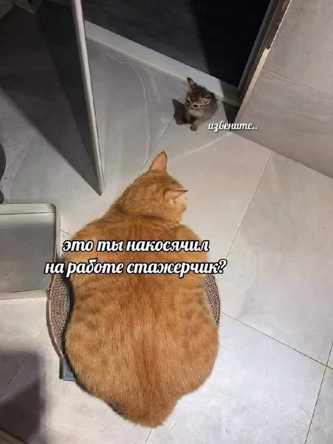 Стажер накосячил на работе