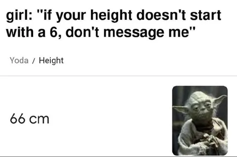 Yoda Is 66 Centimeters Tall