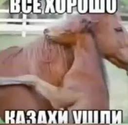 Казаки ушли, всё хорошо