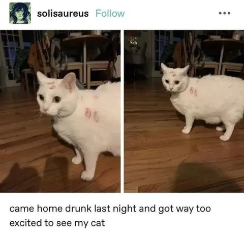 Drunk and Excited to See Cat