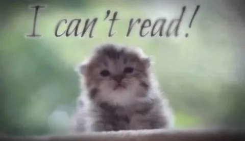 I Can't Read Cat