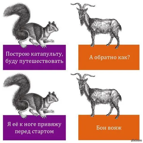 Катапульта и обратная дорога